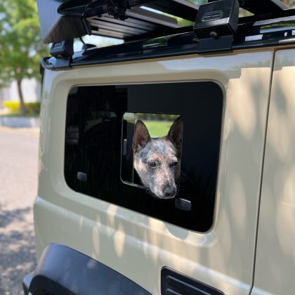 New Style Rear Sliding Windows